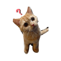 [LINEスタンプ] khr日常①