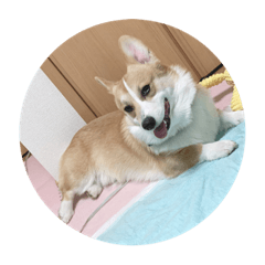 [LINEスタンプ] lov.ing