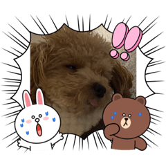 [LINEスタンプ] パルの顔