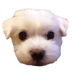 [LINEスタンプ] じょんぷり