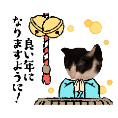 [LINEスタンプ] 猫のるうちゃん