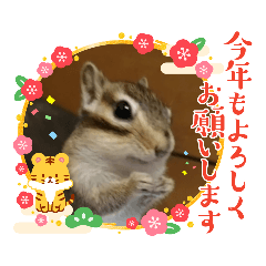 [LINEスタンプ] みんなと一緒15