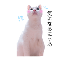 [LINEスタンプ] しろふわくろ