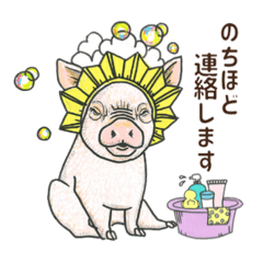 [LINEスタンプ] 動物たちの敬語＆丁寧スタンプ♪