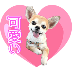 [LINEスタンプ] ♥♡れんりく♡♥