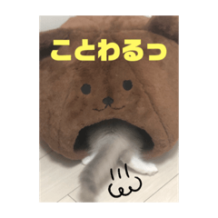 [LINEスタンプ] はくさまスタンプ