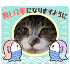 [LINEスタンプ] 餅たちの正月スタンプ
