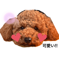 [LINEスタンプ] ROYCEの日常♡2