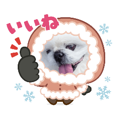 [LINEスタンプ] ペキニーズまろ