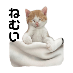 [LINEスタンプ] ライチちゃん2