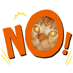 [LINEスタンプ] ざらめとあずき