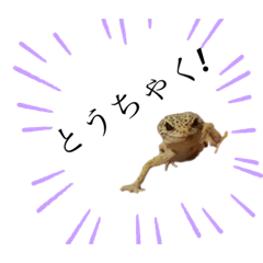 [LINEスタンプ] ヒョウモントカゲと仲間たち(その壱)