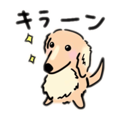 [LINEスタンプ] ダックスのソルくんスタンプ