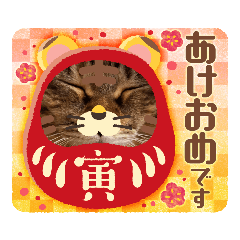 [LINEスタンプ] クリスマスお正月、にも真顔ねこ