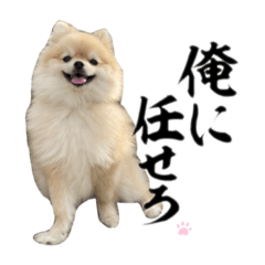 [LINEスタンプ] ぼく。うにたろう。Part3