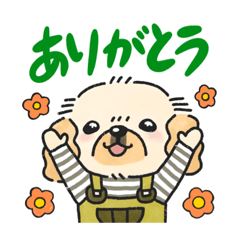 [LINEスタンプ] ペキニーズの「ペリー」【日常会話編】