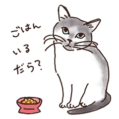 [LINEスタンプ] 三河弁を話すかわいい猫たち vol.2