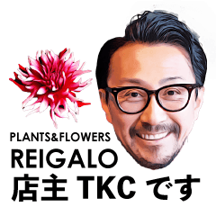 [LINEスタンプ] REIGALO_TKC