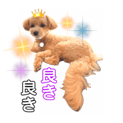[LINEスタンプ] モコ蔵第3段