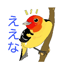 [LINEスタンプ] 美鳥のスタンプ(改訂版)