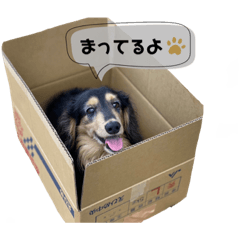 [LINEスタンプ] レオとトム