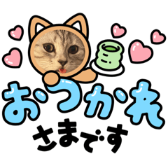 [LINEスタンプ] ねこちゃんず 02