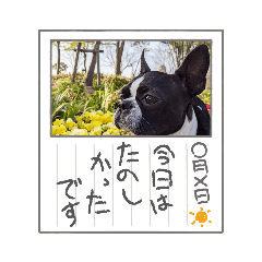 [LINEスタンプ] Teddy Stanp バラエティパック