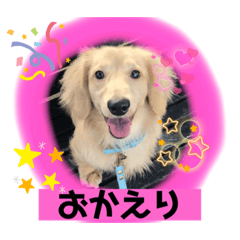 [LINEスタンプ] 便利なモカくんスタンプ2