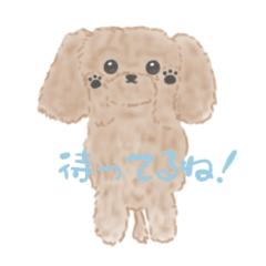 [LINEスタンプ] わんこの きもち。