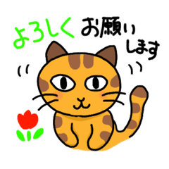 [LINEスタンプ] 【トラねこ】毎日使える！挨拶と気持ち