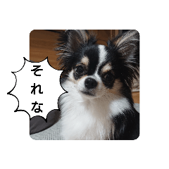[LINEスタンプ] リディムスタンプ2