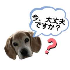 [LINEスタンプ] あいじょん5