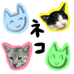 [LINEスタンプ] 埼玉で一番かわいい猫兄弟の画像（メイン）