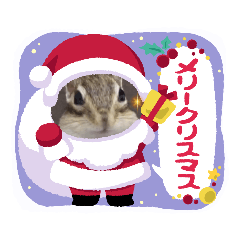 [LINEスタンプ] シマリス茶々と一緒 4