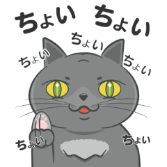 [LINEスタンプ] まる de ねこ