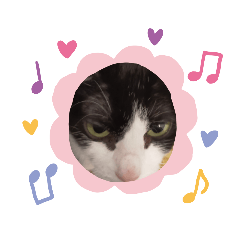 [LINEスタンプ] おもしろい猫4