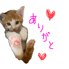 [LINEスタンプ] ムニスタンプ