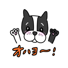 [LINEスタンプ] フレンチブルドッグ挨拶するよ