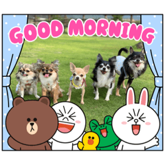[LINEスタンプ] チワワのれおぱこぴにこ③