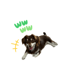 [LINEスタンプ] なんとうまるとむぎ ②