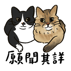 [LINEスタンプ] 猫ちゃんとの暮らしは最高