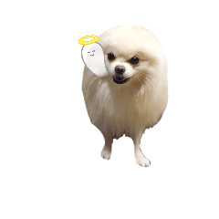 [LINEスタンプ] ミロンとモカ