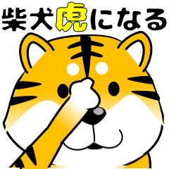 [LINEスタンプ] 真・激しく尻尾をふる柴犬→トラ