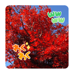 [LINEスタンプ] 季節は巡る