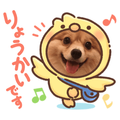 [LINEスタンプ] ポメチワ  れもんちゃん 5