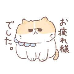 [LINEスタンプ] ねこのぽこじ