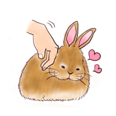 [LINEスタンプ] 我が家のふわふわウサギの日常仕草