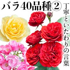 [LINEスタンプ] 薔薇(バラ)の花だけで40種『上品ローズ』2