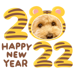 [LINEスタンプ] 2022 NICOとSENA