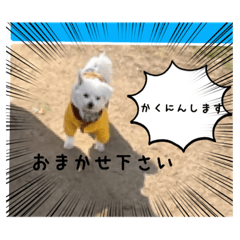 [LINEスタンプ] おませなマル